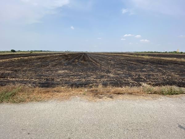 ขายที่ดินติดถนน-9-1-601-ไร่-อยู่ในแหล่งชุมชน-ตบางขวัญ-เมืองฉะเชิงเทรา