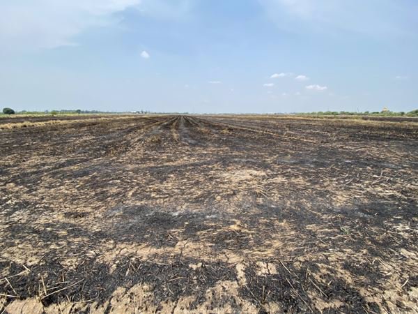 ขายที่ดินติดถนน-9-1-601-ไร่-อยู่ในแหล่งชุมชน-ตบางขวัญ-เมืองฉะเชิงเทรา