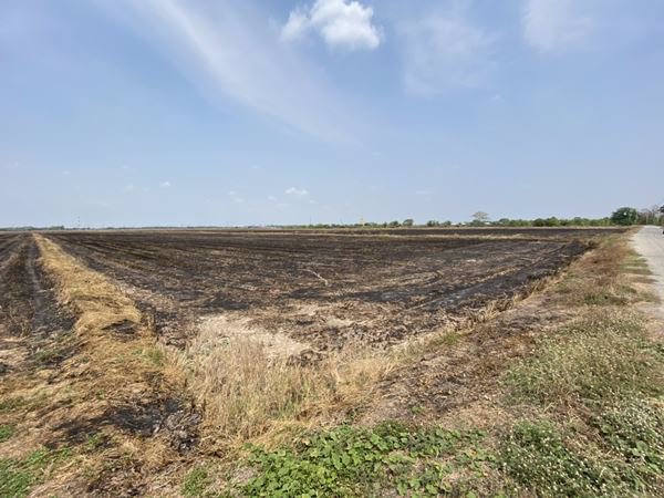 ขายที่ดินติดถนน-9-1-601-ไร่-อยู่ในแหล่งชุมชน-ตบางขวัญ-เมืองฉะเชิงเทรา