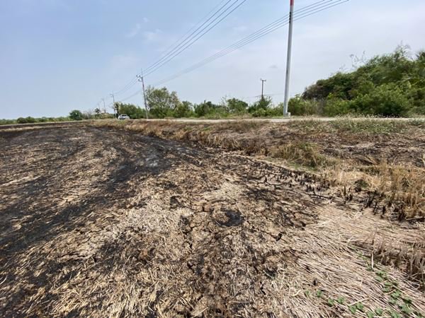 ขายที่ดินติดถนน-9-1-601-ไร่-อยู่ในแหล่งชุมชน-ตบางขวัญ-เมืองฉะเชิงเทรา