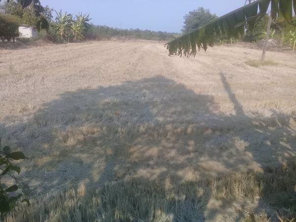 ขายที่ดินสวยๆ-หน้าติดถนน-หลังติดคลอง-2-3-16-ไร่-บางขวัญ-เมืองฉะเชิงเทรา