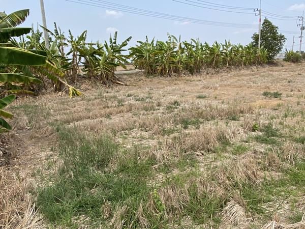 ขายที่ดินสวยๆ-หน้าติดถนน-หลังติดคลอง-2-3-16-ไร่-บางขวัญ-เมืองฉะเชิงเทรา