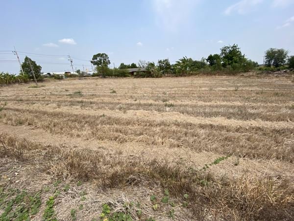 ขายที่ดินสวยๆ-หน้าติดถนน-หลังติดคลอง-2-3-16-ไร่-บางขวัญ-เมืองฉะเชิงเทรา