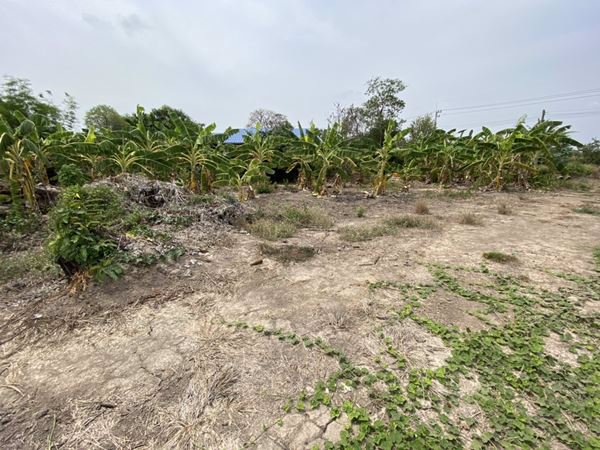 ขายที่ดินสวยๆ-หน้าติดถนน-หลังติดคลอง-2-3-16-ไร่-บางขวัญ-เมืองฉะเชิงเทรา