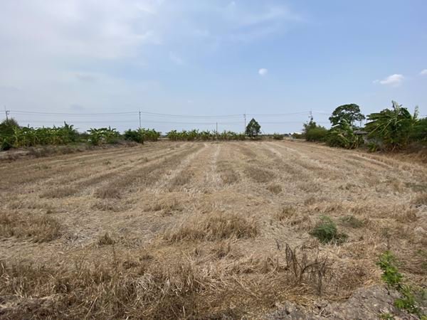 ขายที่ดินสวยๆ-หน้าติดถนน-หลังติดคลอง-2-3-16-ไร่-บางขวัญ-เมืองฉะเชิงเทรา