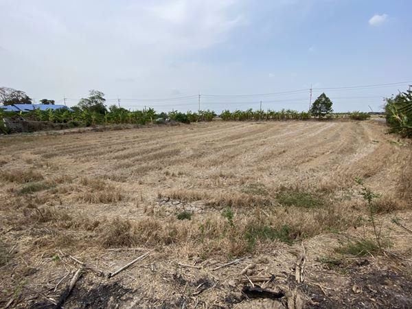 ขายที่ดินสวยๆ-หน้าติดถนน-หลังติดคลอง-2-3-16-ไร่-บางขวัญ-เมืองฉะเชิงเทรา