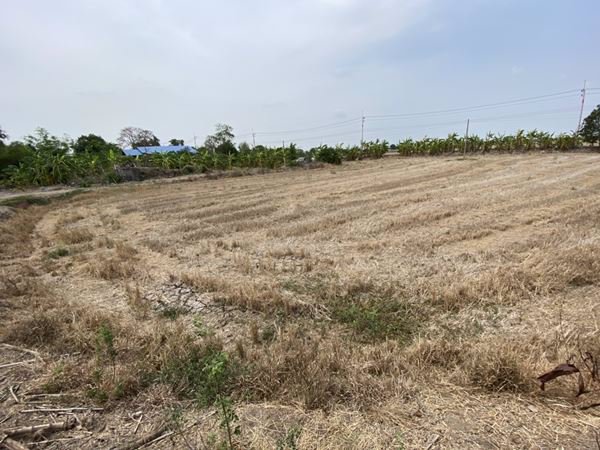 ขายที่ดินสวยๆ-หน้าติดถนน-หลังติดคลอง-2-3-16-ไร่-บางขวัญ-เมืองฉะเชิงเทรา