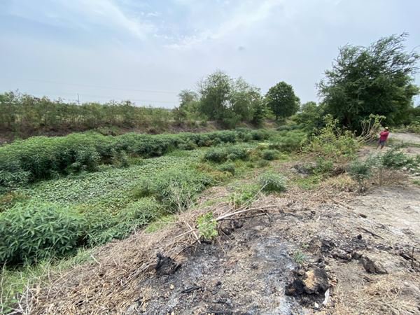 ขายที่ดินสวยๆ-หน้าติดถนน-หลังติดคลอง-2-3-16-ไร่-บางขวัญ-เมืองฉะเชิงเทรา