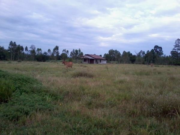 ขายที่ดิน-มีโฉนดพร้อมบ้านพัก-และสระน้ำ-เหมาะสำหรับทำการเกษตร-อชุมแพ-ขอนแก่น