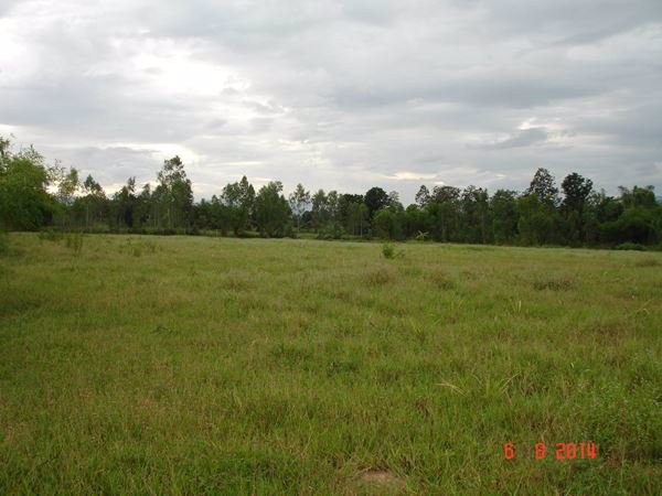 ขายที่ดิน-มีโฉนดพร้อมบ้านพัก-และสระน้ำ-เหมาะสำหรับทำการเกษตร-อชุมแพ-ขอนแก่น