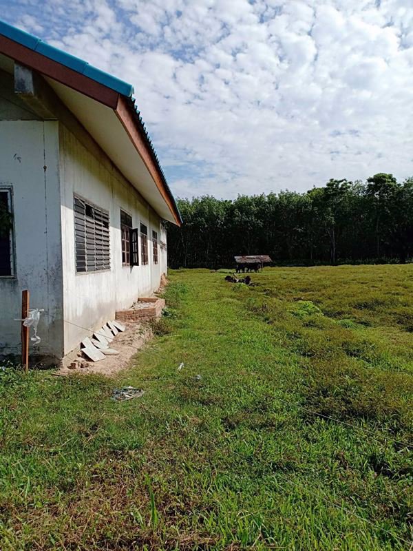 ขายบ้านพร้อมที่ดิน-นครศรีธรรมราช-บนเนื้อที่-2-ไร่-987-ตรว-ริมถนนสายหลักช้าง-ทุ่งใหญ่