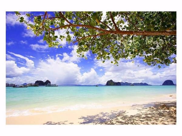 ที่ดินเกาะไหง-จกระบี่-38-ไร่-260-ตรวา-ผืนงามมาก-อยู่หน้าหาดพอดีเลย