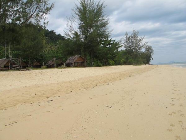 ที่ดินเกาะไหง-จกระบี่-38-ไร่-260-ตรวา-ผืนงามมาก-อยู่หน้าหาดพอดีเลย