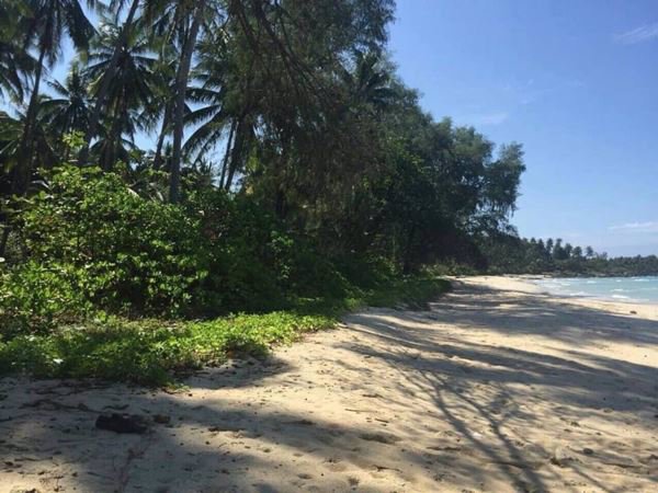 ขายที่ดินเกาะกูด-จตราด-9-ไร่-ติดริมหาดบนเกาะกูด