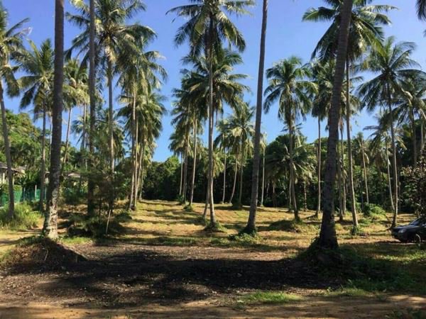 ขายที่ดินเกาะกูด-จตราด-9-ไร่-ติดริมหาดบนเกาะกูด