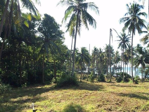 ขายที่ดินเกาะกูด-จตราด-9-ไร่-ติดริมหาดบนเกาะกูด