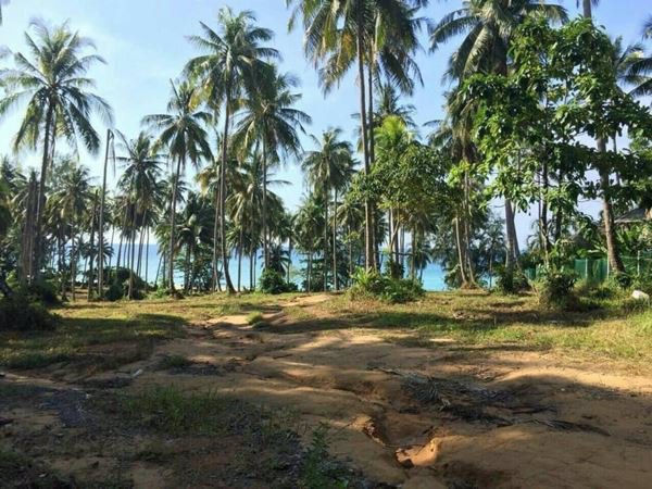 ขายที่ดินเกาะกูด-จตราด-9-ไร่-ติดริมหาดบนเกาะกูด