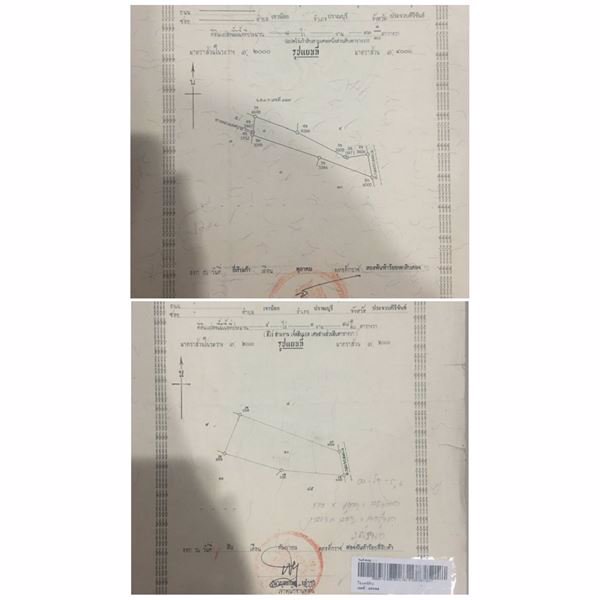 ที่ดินแปลงสวย-13-ไร่-ขายถูก-ตเขาน้อย-ปราณบุรี-ประจวบคีรีขันธ์