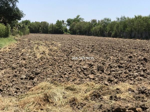 ขายที่ดินบนทำเล-นครชัยศรี-ทำเลดี-ใกล้โครงการสนามบิน-5-ไร่-3-งาน-25-ตรว