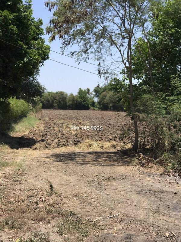 ขายที่ดินบนทำเล-นครชัยศรี-ทำเลดี-ใกล้โครงการสนามบิน-5-ไร่-3-งาน-25-ตรว