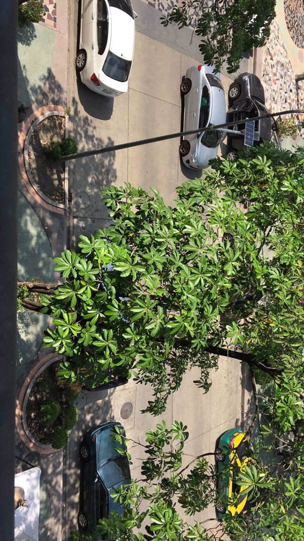 ให้เช่าคอนโด-ฌ็องเซลิเซ่-ติวานนท์-ขนาดห้อง-33-ตรม-ปากเกร็ด-นนทบุรี