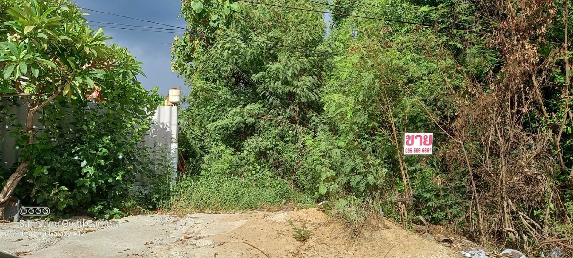 ขายที่ดินเปล่าติดถนนเลี่ยงเมือง-จังหวัดอ่างทอง