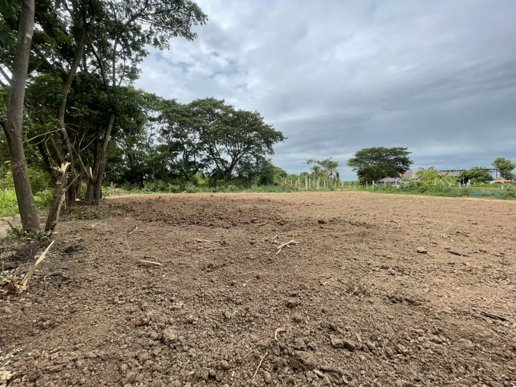 ขายที่ดิน-100-ตรว-ตต้นโพธิ์-อเมือง-จสิงห์บุรี