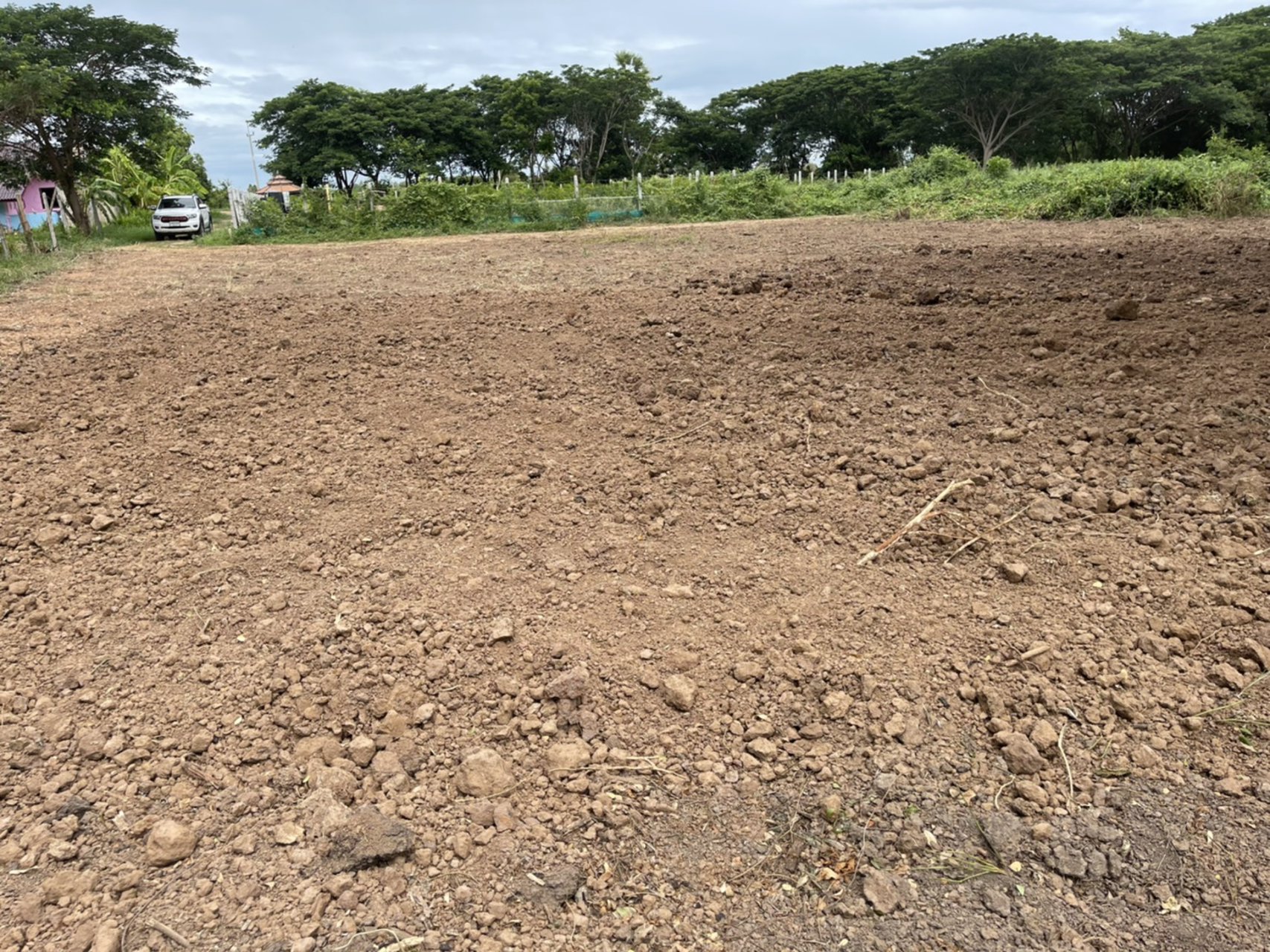 ขายที่ดิน-100-ตรว-ตต้นโพธิ์-อเมือง-จสิงห์บุรี