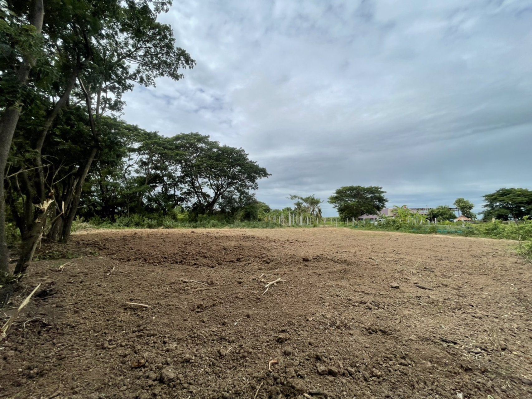 ขายที่ดิน-100-ตรว-ตต้นโพธิ์-อเมือง-จสิงห์บุรี