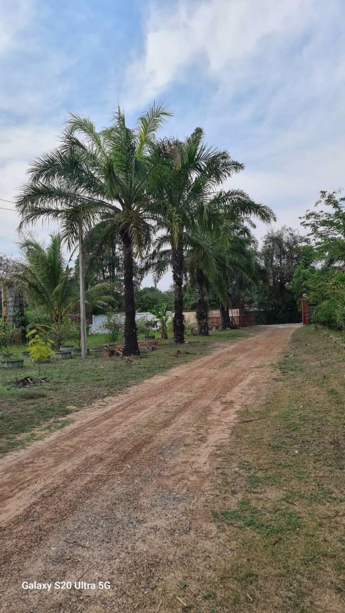 ด่วนขายที่ดินราคาถูก-พร้อมสิ่งปลูกสร้าง-สวนผสม