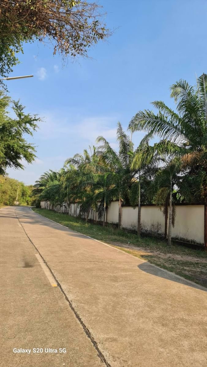 ด่วนขายที่ดินราคาถูก-พร้อมสิ่งปลูกสร้าง-สวนผสม