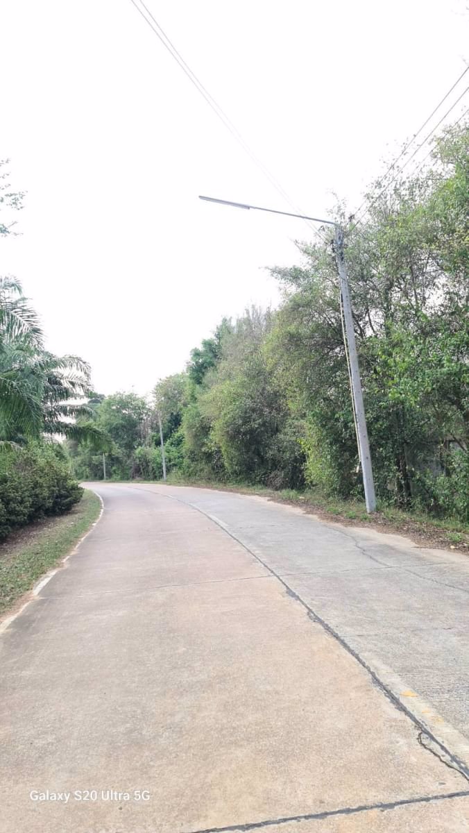 ด่วนขายที่ดินราคาถูก-พร้อมสิ่งปลูกสร้าง-สวนผสม