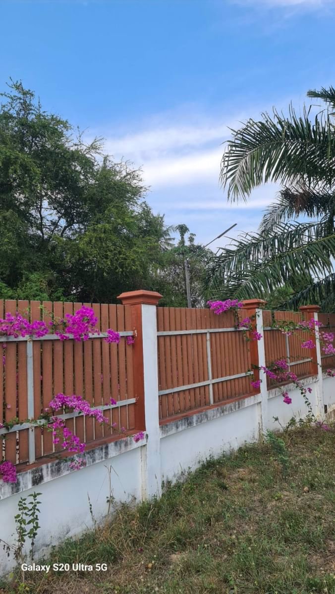 ด่วนขายที่ดินราคาถูก-พร้อมสิ่งปลูกสร้าง-สวนผสม