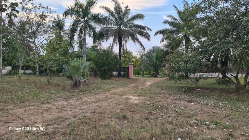 ด่วนขายที่ดินราคาถูก-พร้อมสิ่งปลูกสร้าง-สวนผสม