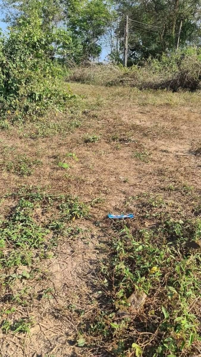 ขายที่ดินเปล่าแปลงสวยราคาถูก