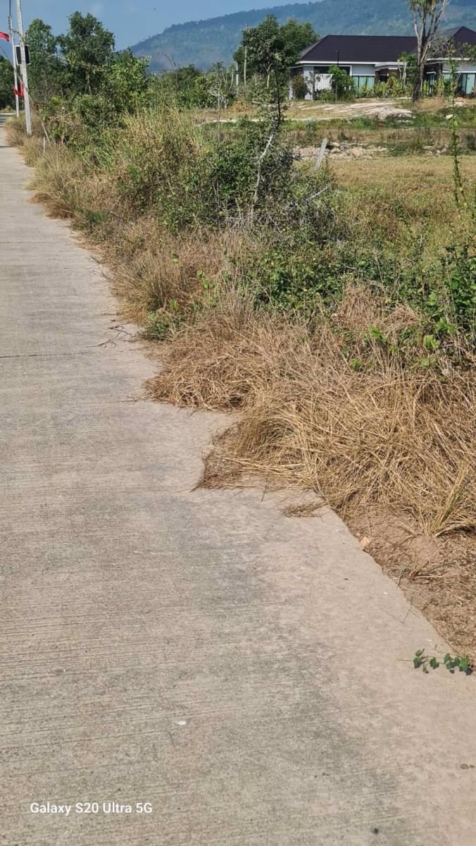 ขายที่ดินเปล่าแปลงสวยราคาถูก