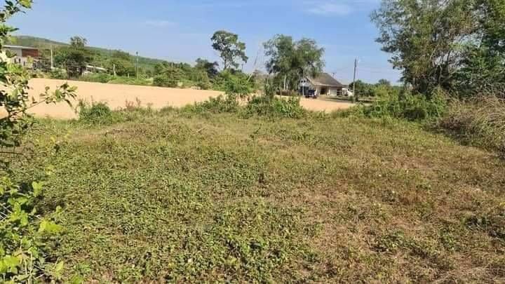 ขายที่ดินเปล่าแปลงสวยราคาถูก