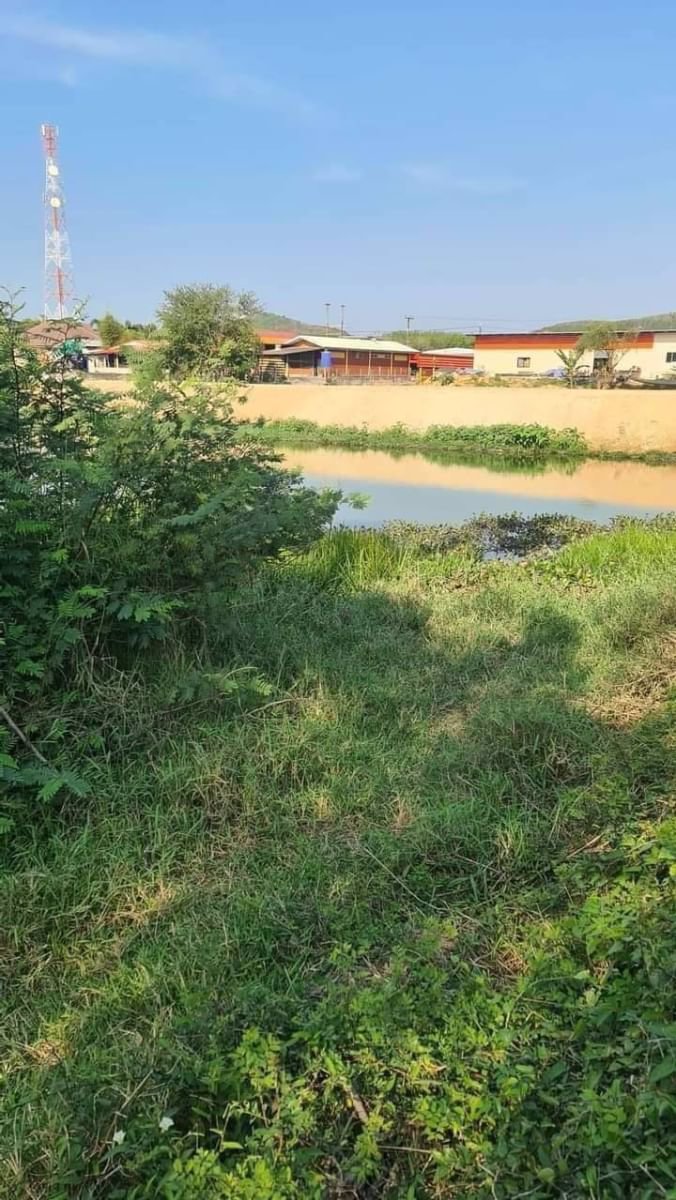 ขายที่ดินเปล่าแปลงสวยราคาถูก