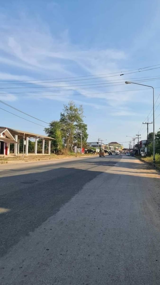 ขายที่ดินเปล่าแปลงสวยราคาถูก