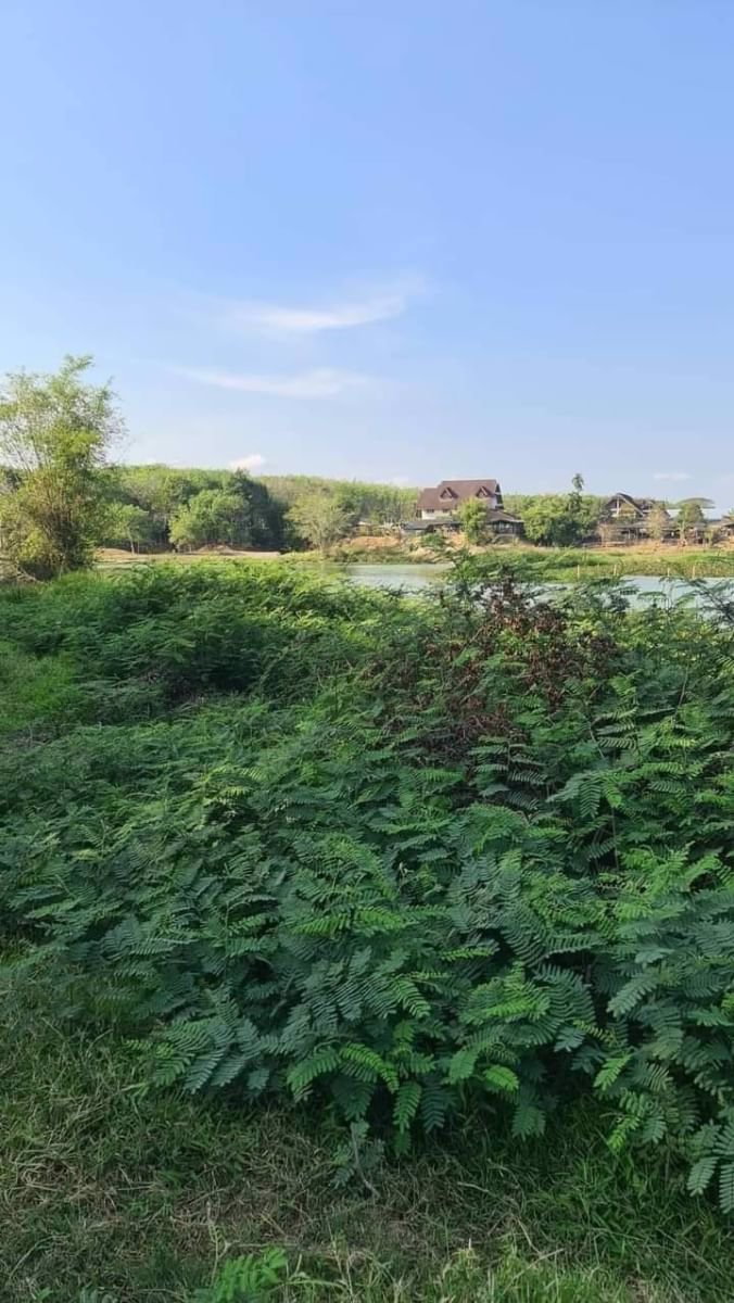 ขายที่ดินเปล่าแปลงสวยราคาถูก