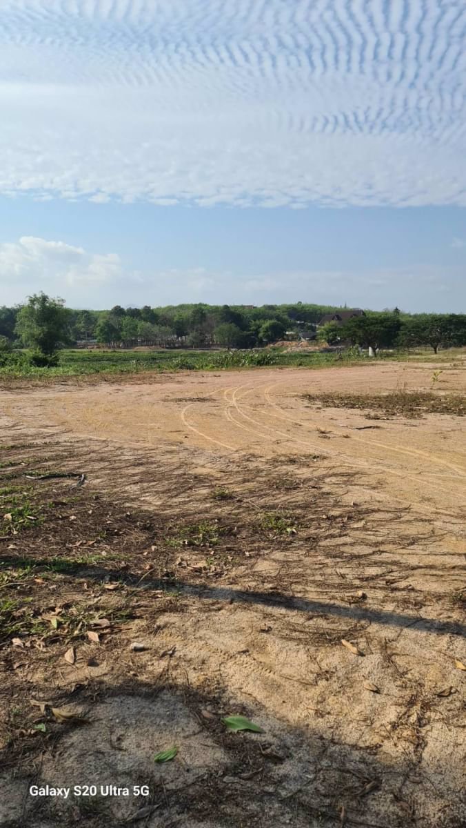 ขายที่ดินเปล่าแปลงสวยราคาถูก