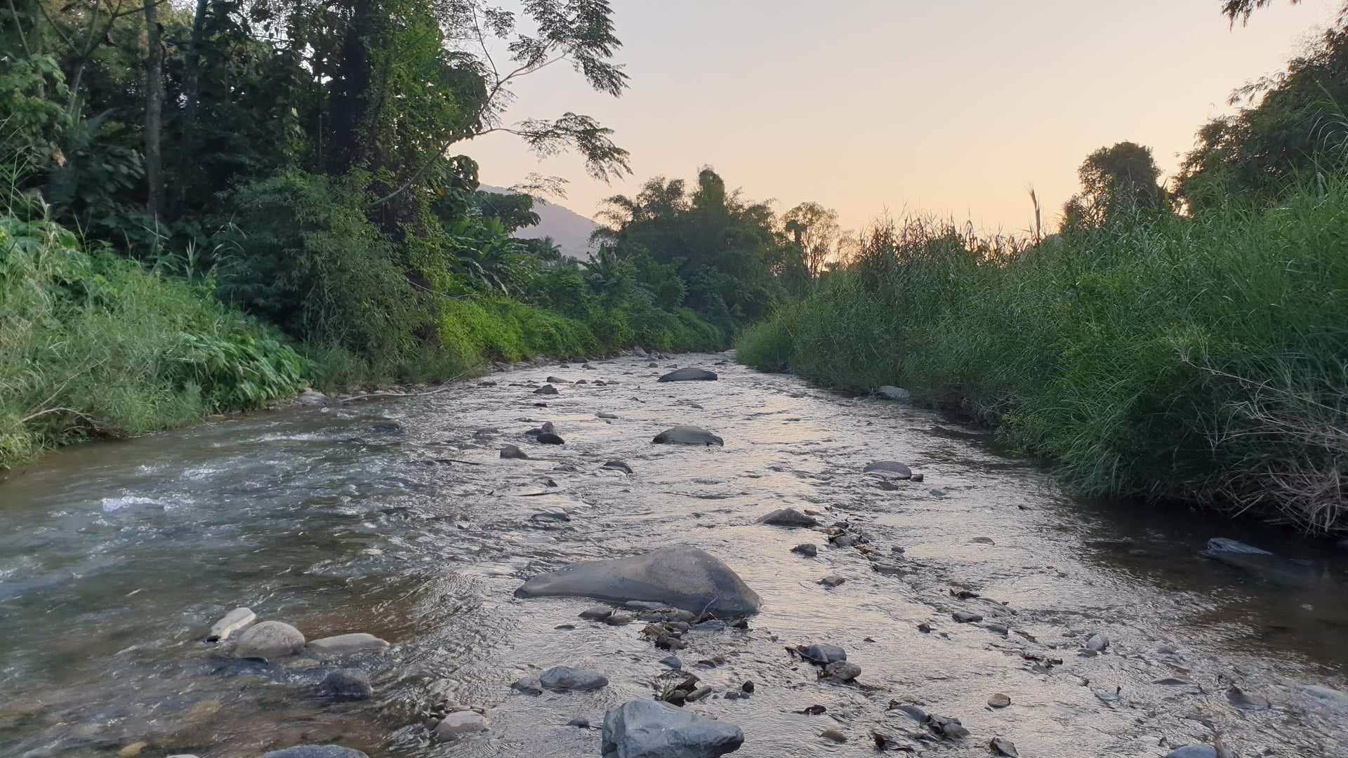 ขายที่ดิน-พิกัด-ตแม่ลาว-อำเภอเชียงคำ-จังหวัดพะเยา