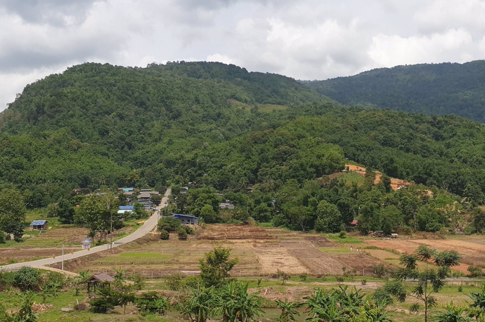 ขายที่ดินเนินเขาวิวสวย-หน้าหนาวมีทะเลหมอกลอยด้านหน้าที่ดิน