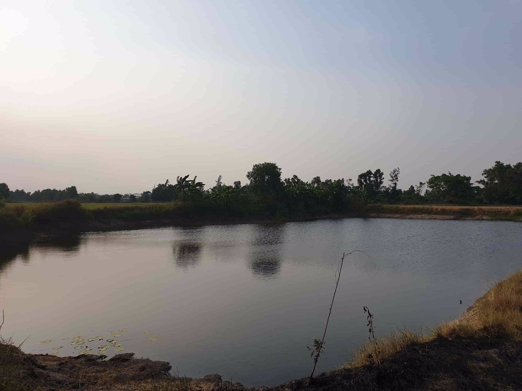 lmpt006-ที่ดินว่างเปล่า-เนื้อที่-7-2-0-ไร่-หรือ-3000-ตารางวา