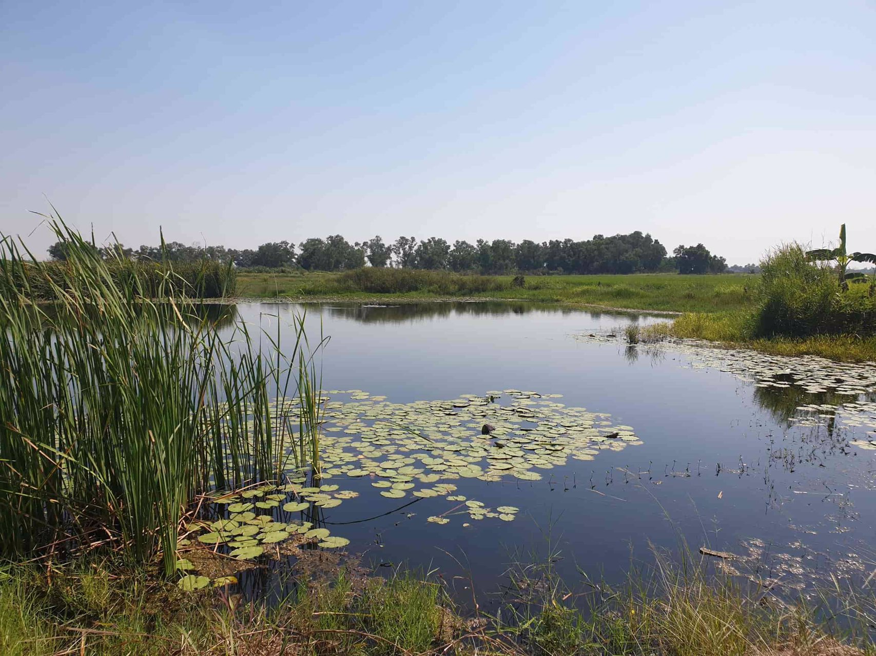 lmpt006-ที่ดินว่างเปล่า-เนื้อที่-7-2-0-ไร่-หรือ-3000-ตารางวา