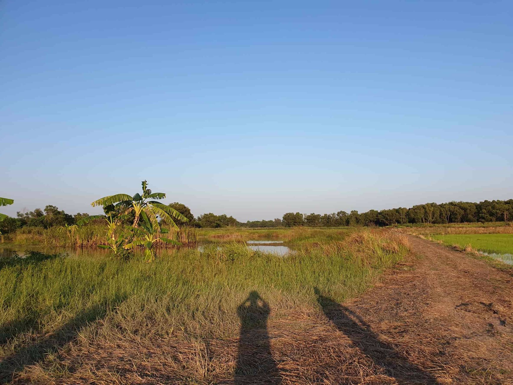 lmpt006-ที่ดินว่างเปล่า-เนื้อที่-7-2-0-ไร่-หรือ-3000-ตารางวา