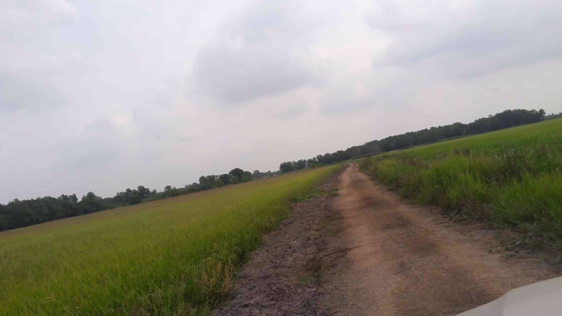 lmpt006-ที่ดินว่างเปล่า-เนื้อที่-7-2-0-ไร่-หรือ-3000-ตารางวา