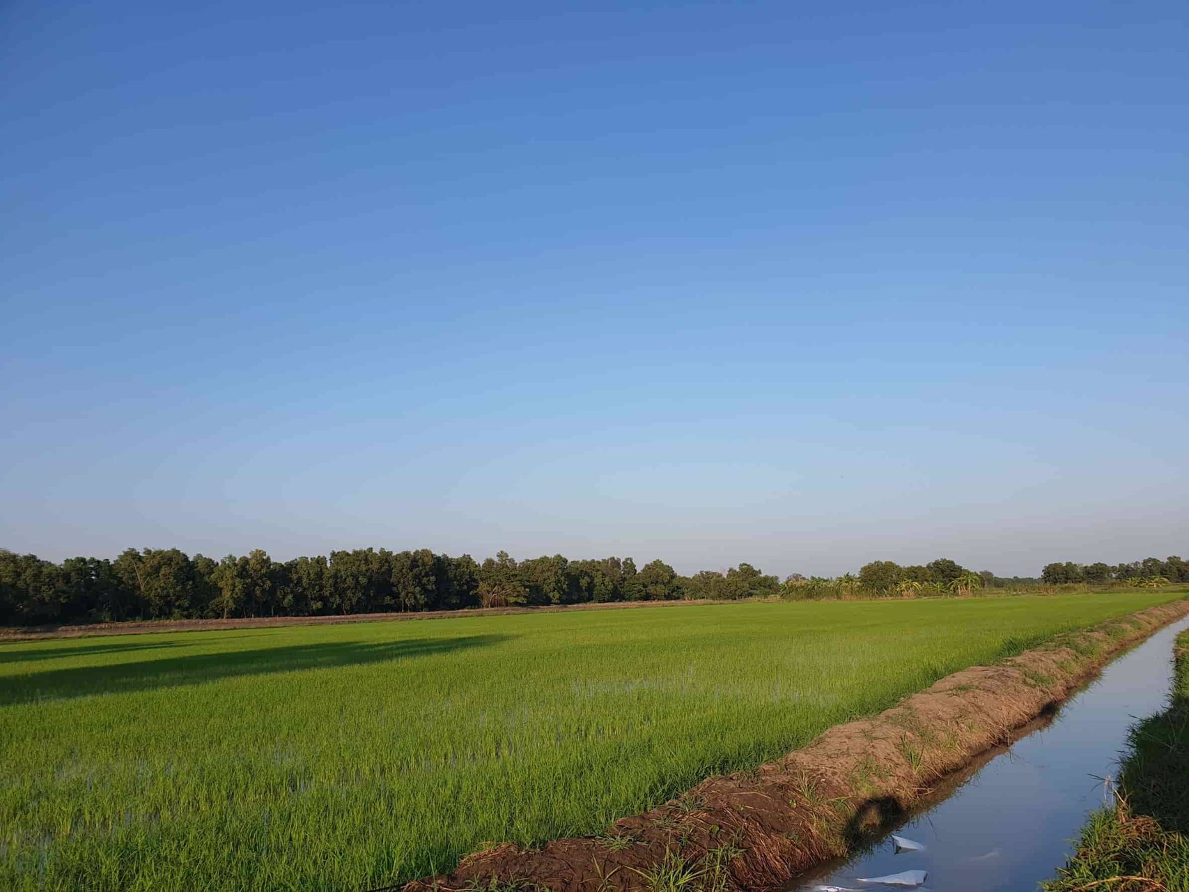 lmpt006-ที่ดินว่างเปล่า-เนื้อที่-7-2-0-ไร่-หรือ-3000-ตารางวา