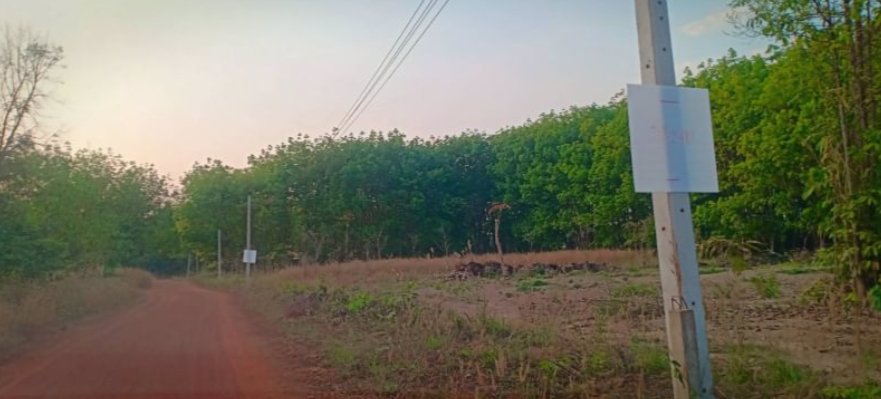 ขายที่ดิน-200-ตรว-ราคา3-แสน