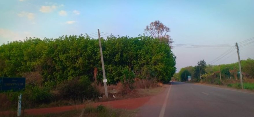 ขายที่ดิน-200-ตรว-ราคา3-แสน